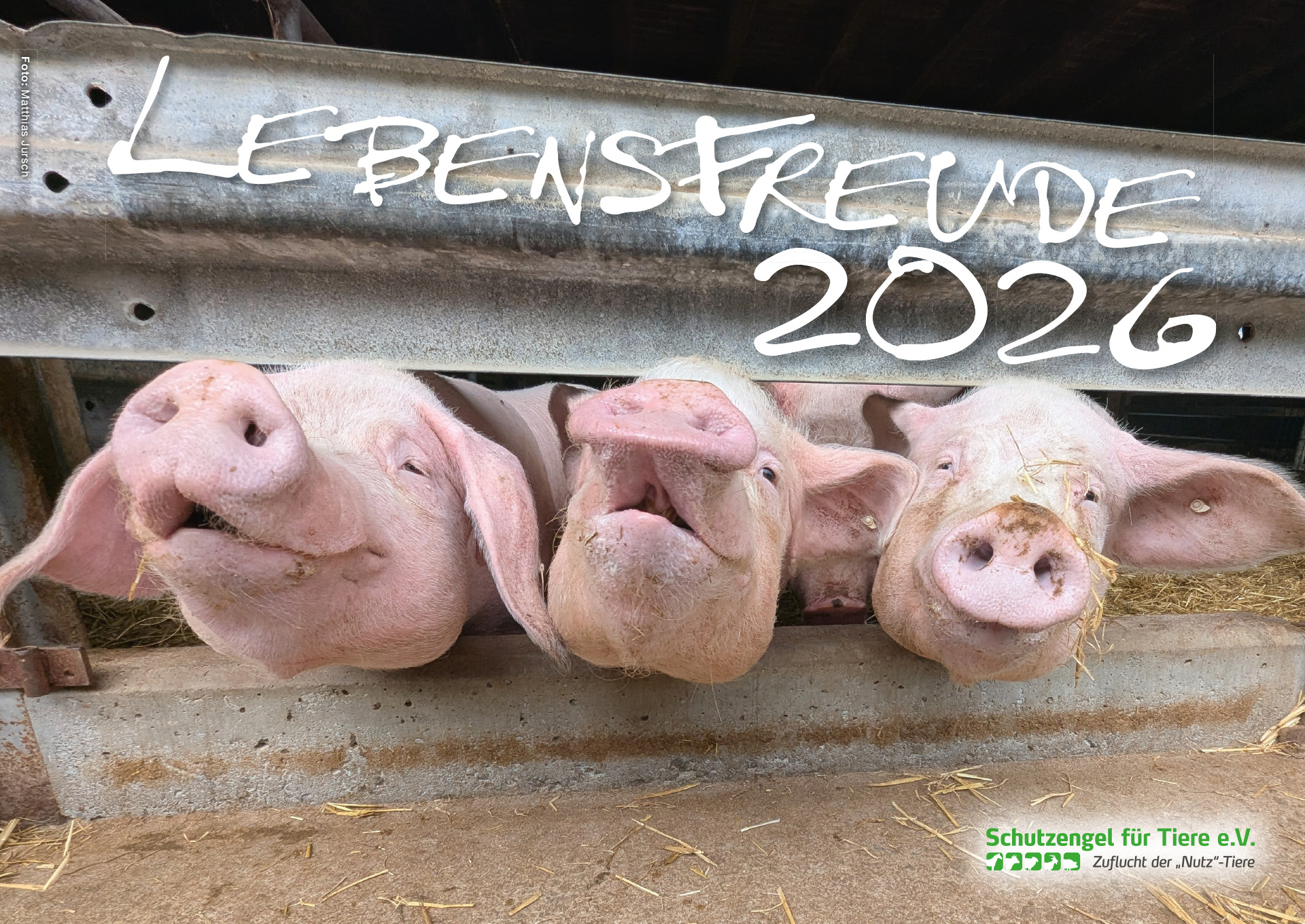 Kalender "Lebensfreude 2026"