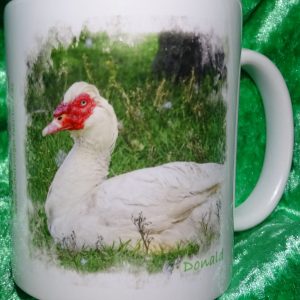 Tasse Erpel Donald mit Spruch von Mark Twain