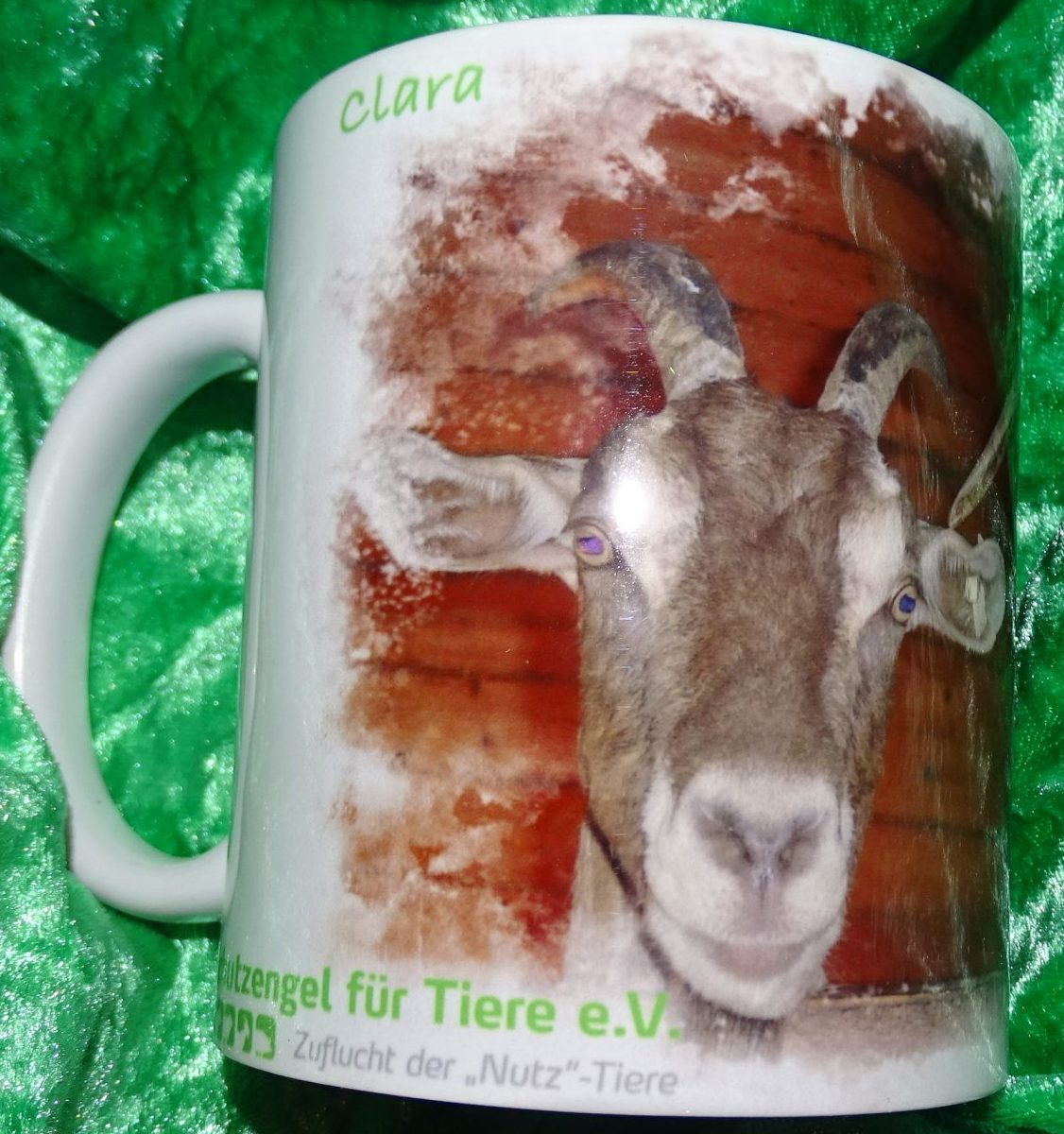 Panoramatasse Ziegen Klara und Paula