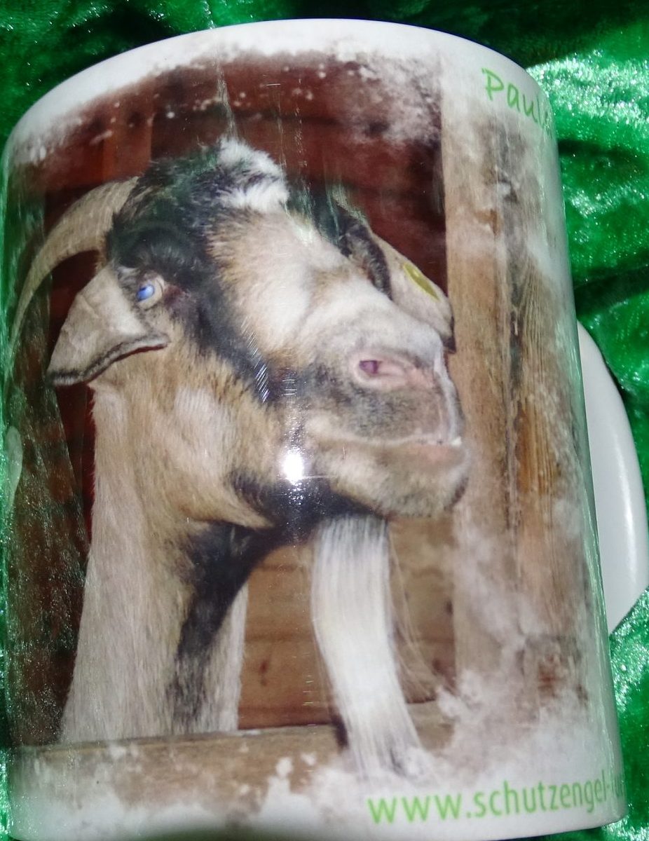 Panoramatasse Ziegen Klara und Paula – Bild 2