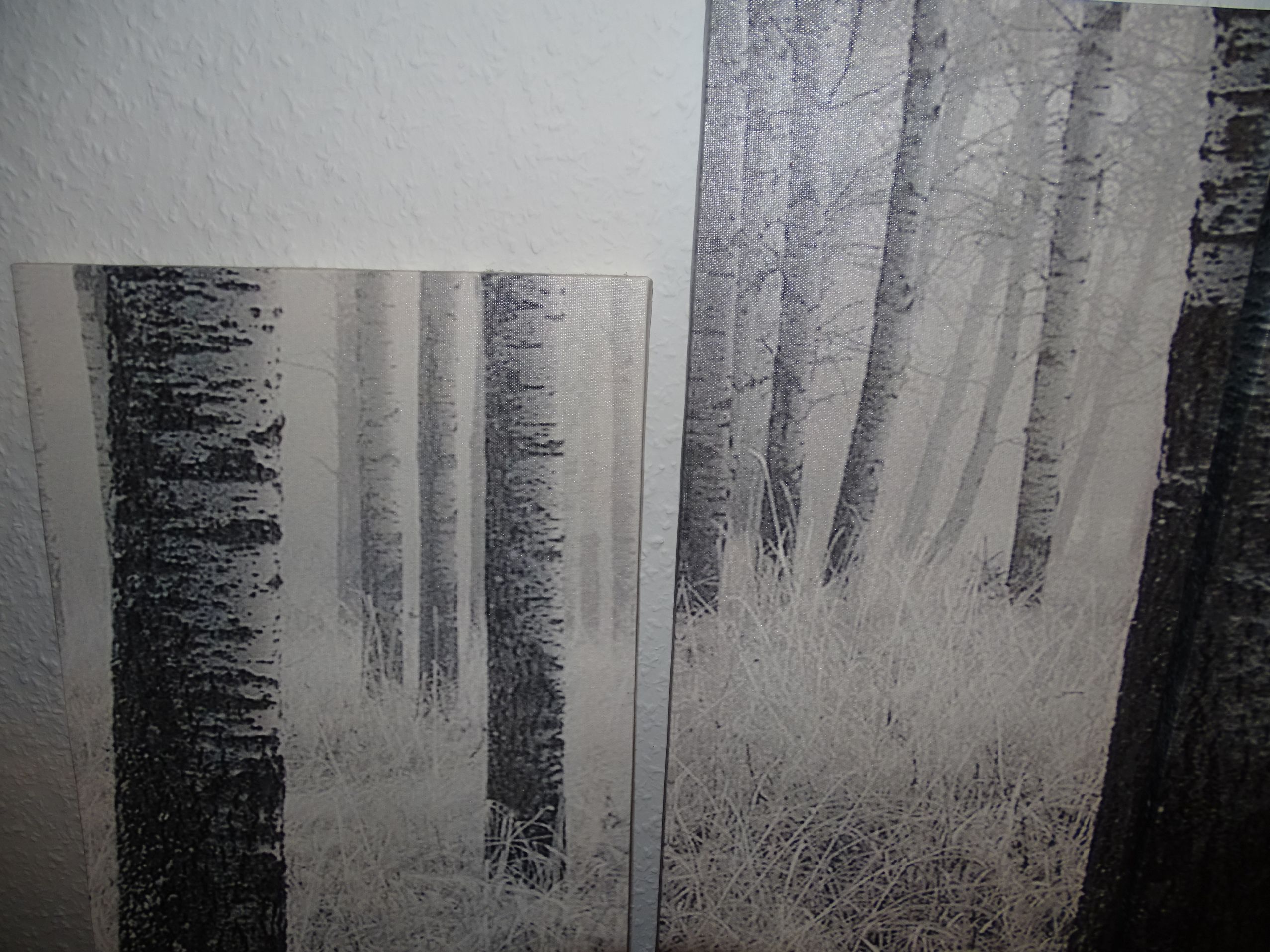 Fünfteiliges Leinwandbild mit Wolfsmotiv – Bild 3