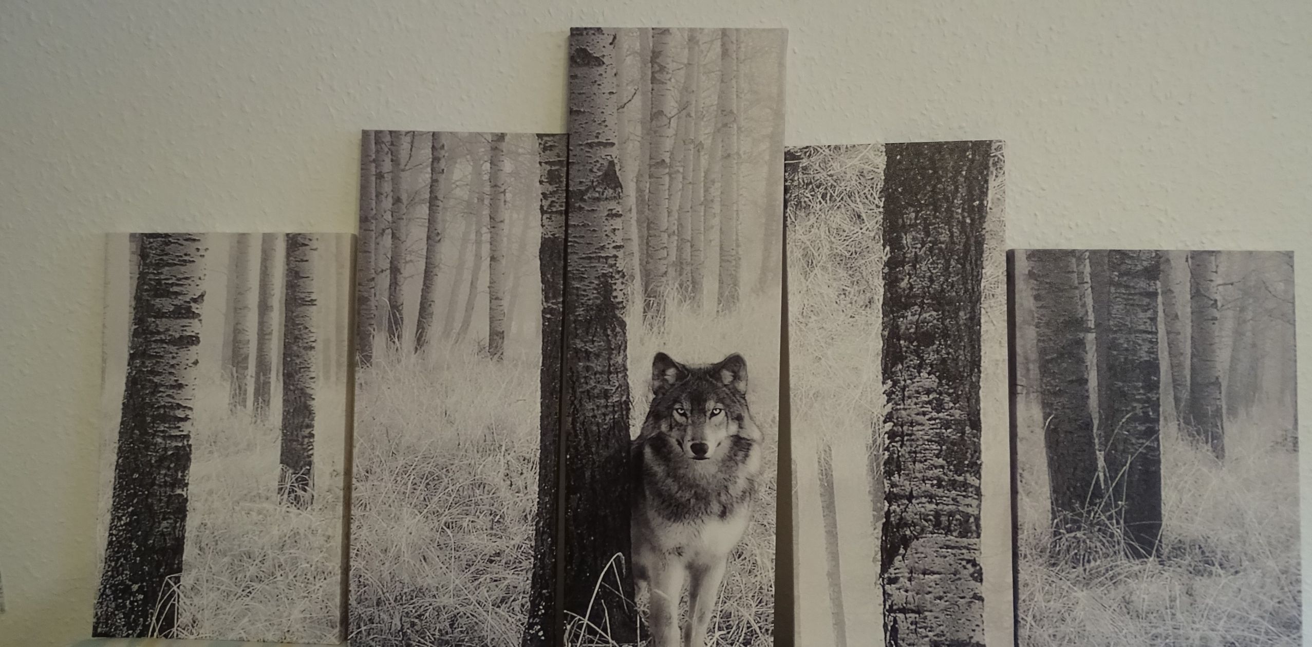 Fünfteiliges Leinwandbild mit Wolfsmotiv – Bild 2