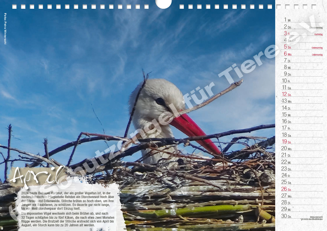 Kalender "Lebensfreude 2026" – Bild 5