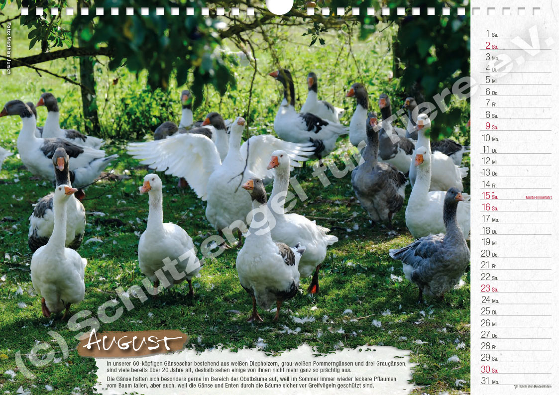 Kalender "Lebensfreude 2026" – Bild 9