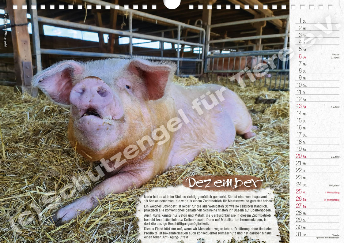 Kalender "Lebensfreude 2026" – Bild 13