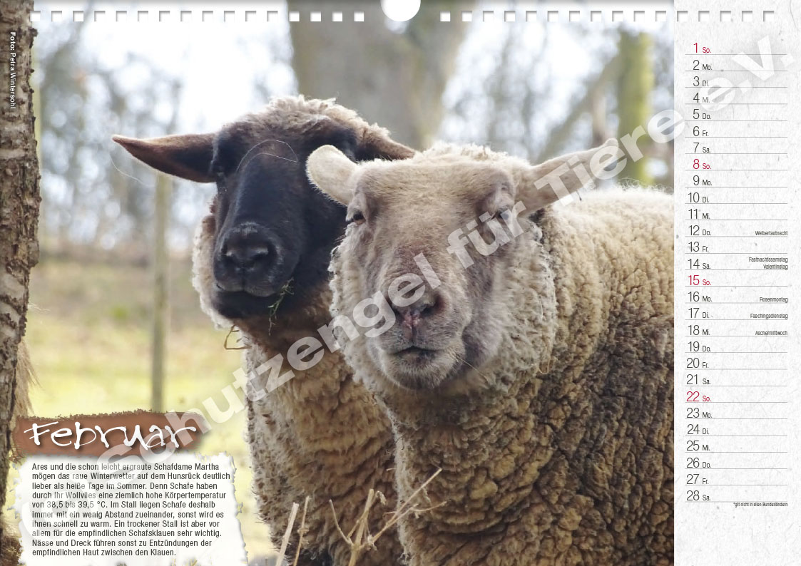 Kalender "Lebensfreude 2026" – Bild 3