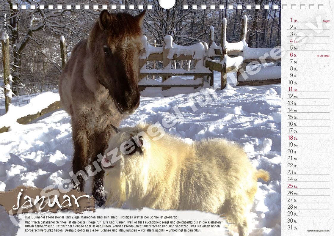 Kalender "Lebensfreude 2026" – Bild 2