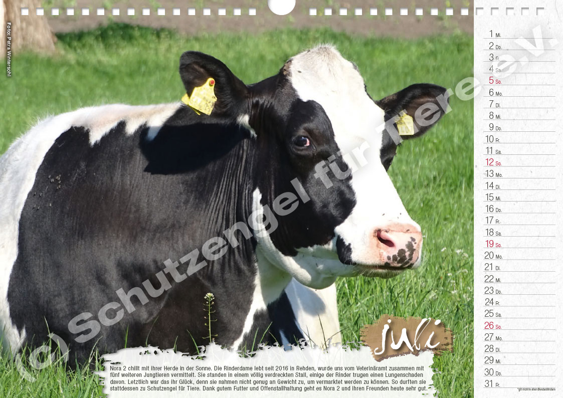 Kalender "Lebensfreude 2026" – Bild 8