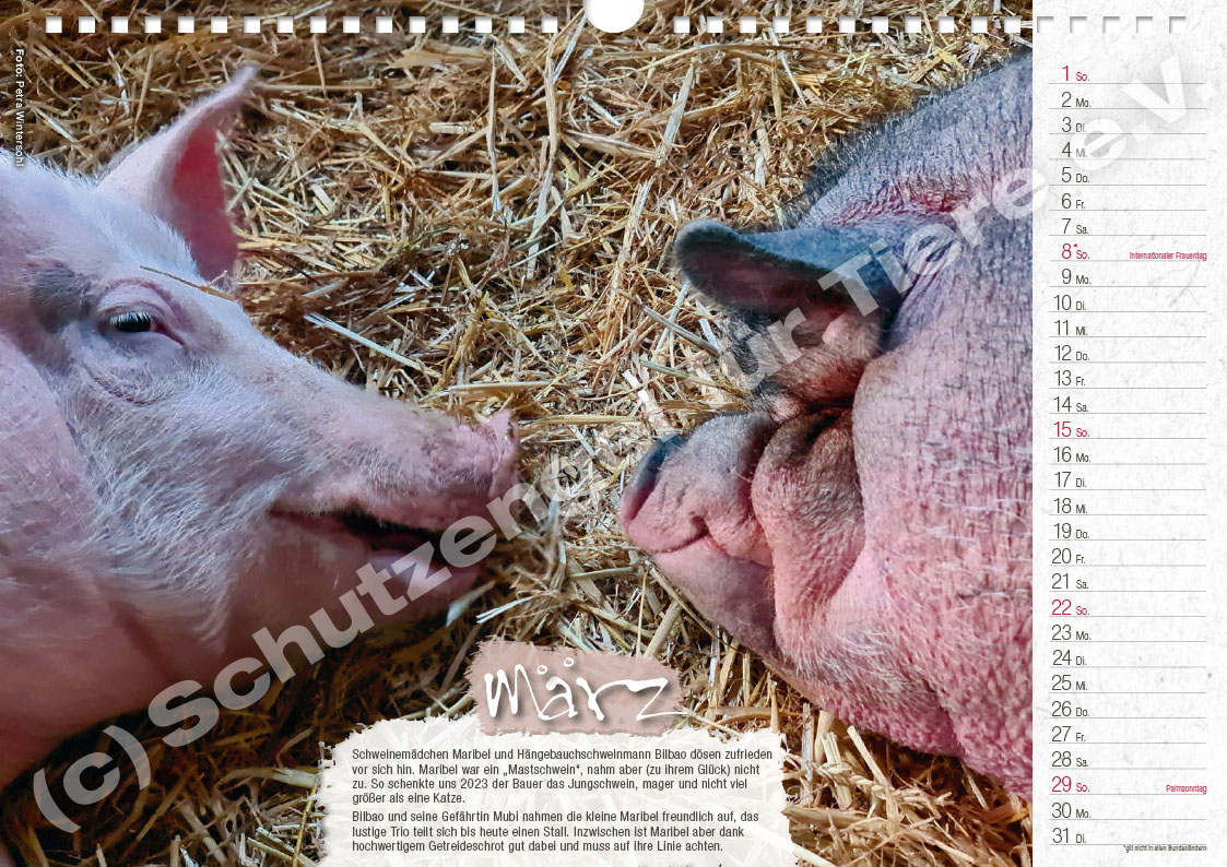 Kalender "Lebensfreude 2026" – Bild 4