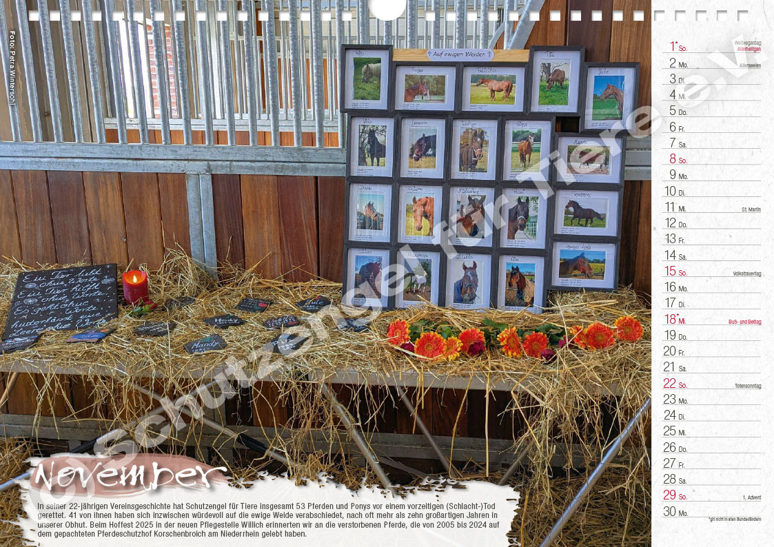 Kalender "Lebensfreude 2026" – Bild 12