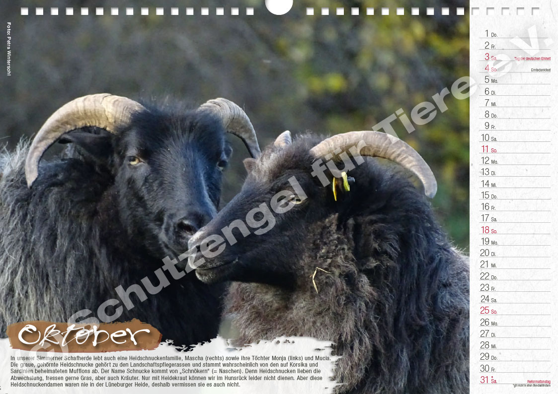 Kalender "Lebensfreude 2026" – Bild 11