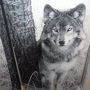 Fünfteiliges Leinwandbild mit Wolfsmotiv