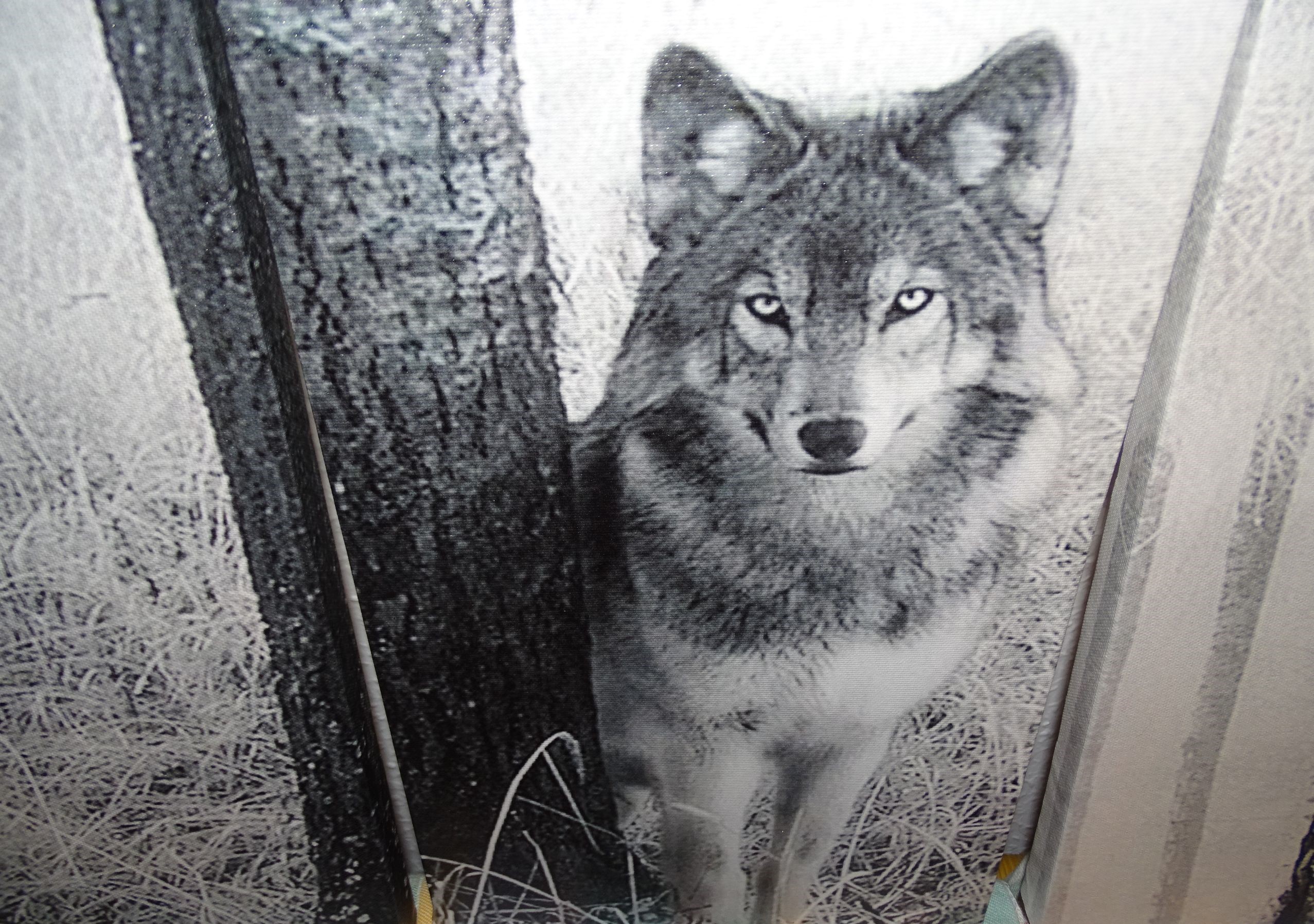 Fünfteiliges Leinwandbild mit Wolfsmotiv